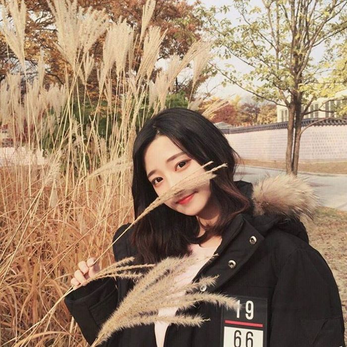 下司泰弘 - 猪蜜蜜电视剧大全在线观看11 - 电脑观看